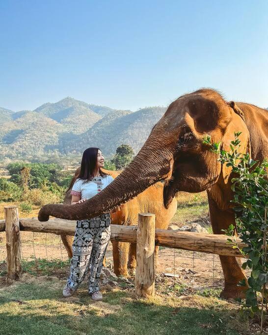 Elephantpoolvilla Maetang Chiangmai Ban Muang Kut المظهر الخارجي الصورة
