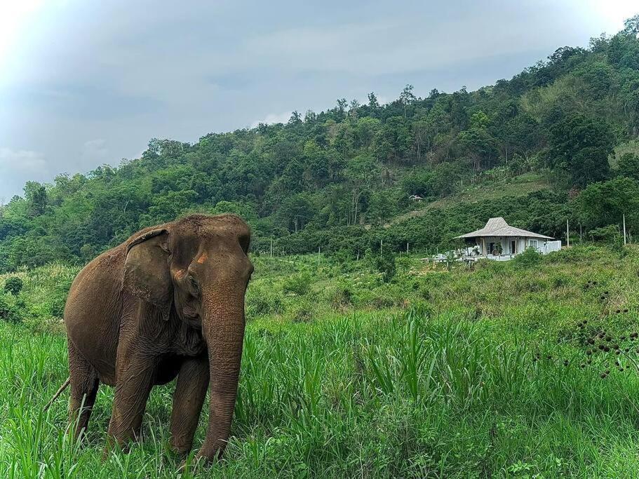 Elephantpoolvilla Maetang Chiangmai Ban Muang Kut المظهر الخارجي الصورة